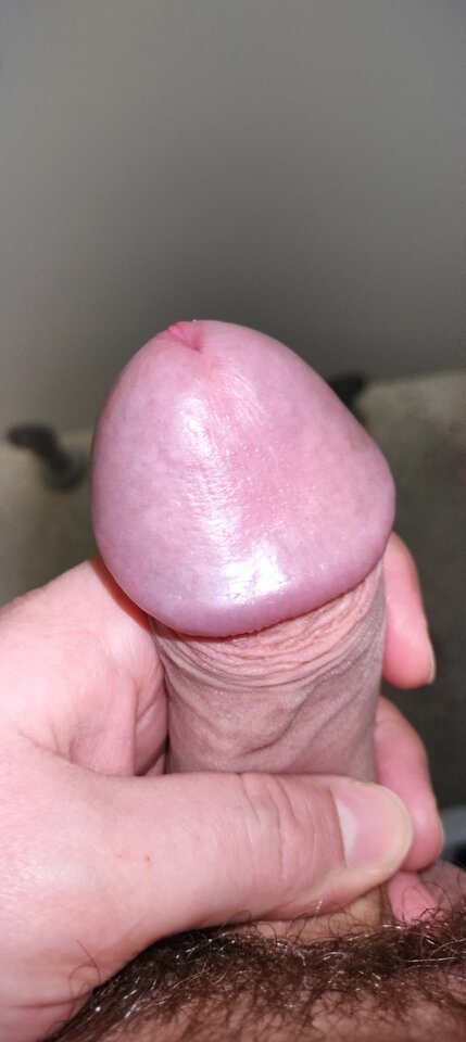 1000026447.jpg - szatan24