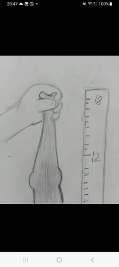 1000064126.jpg