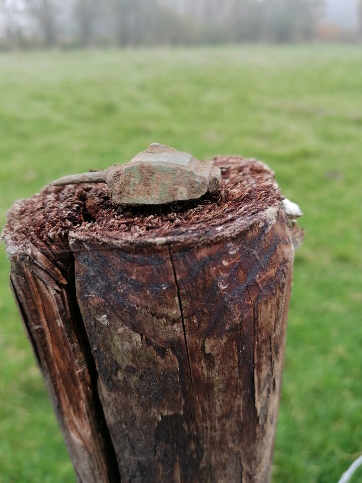 IMG_20241103_145224.jpg - Ciekawyspotkan39