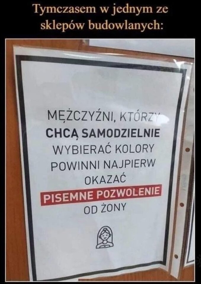 kolory 1 .jpg - kocurekAndy