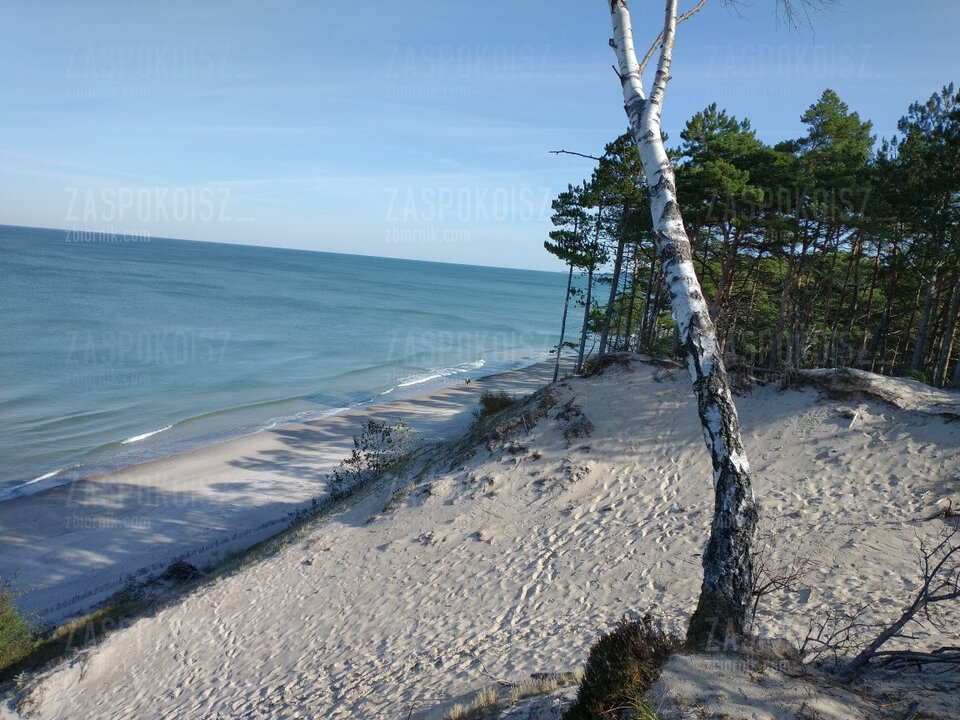 353.jpeg - Zaspokoisz_