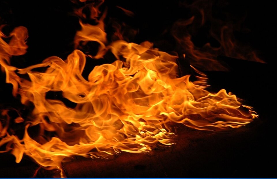 1000026857.jpg - Cookies8276