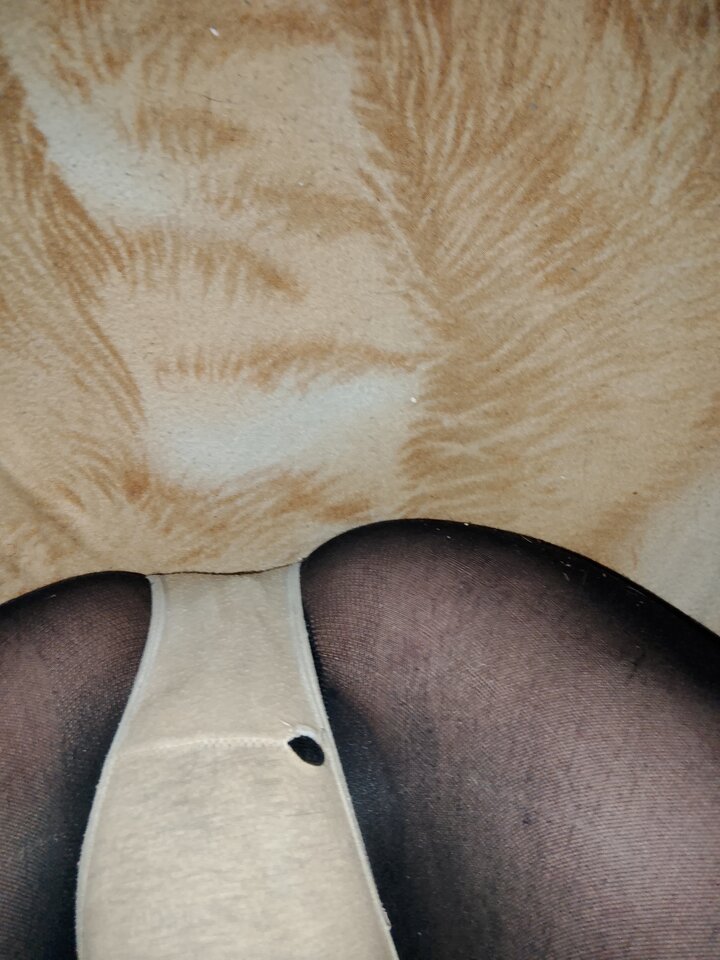 IMG_20241210_022753.jpg - Lovesex6669