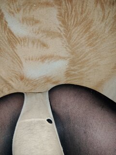 IMG_20241210_022753.jpg