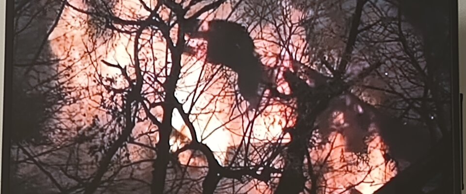 IMG_20241123_191915359~2.jpg - WojskowyMalbork