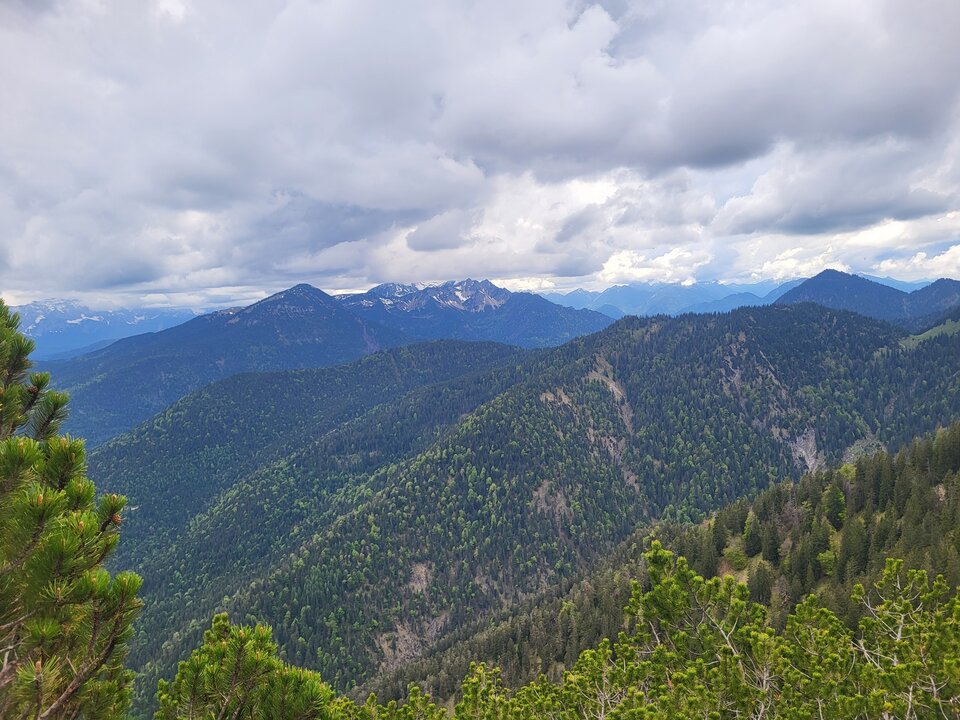 1000000126.jpg - Covidek12