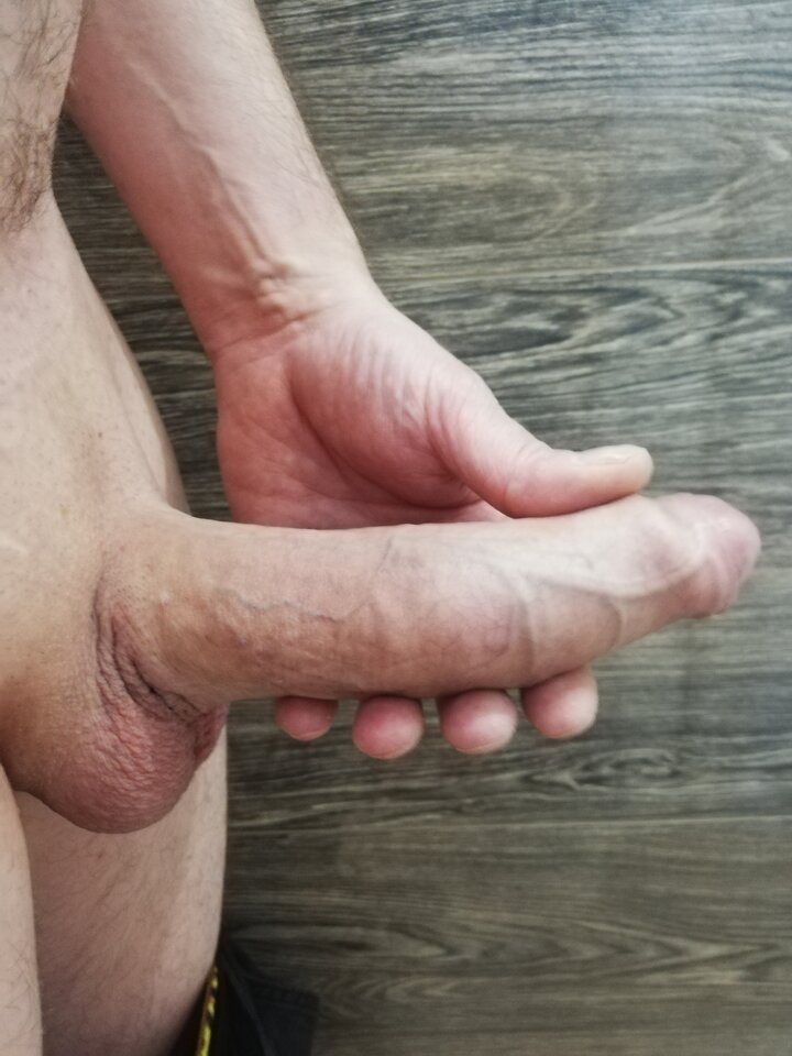 IMG_20240621_112739.jpg - RealnyBielskoBiala