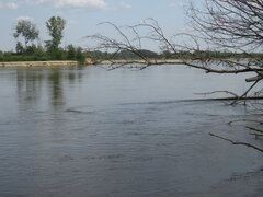 IMG_1685.JPG