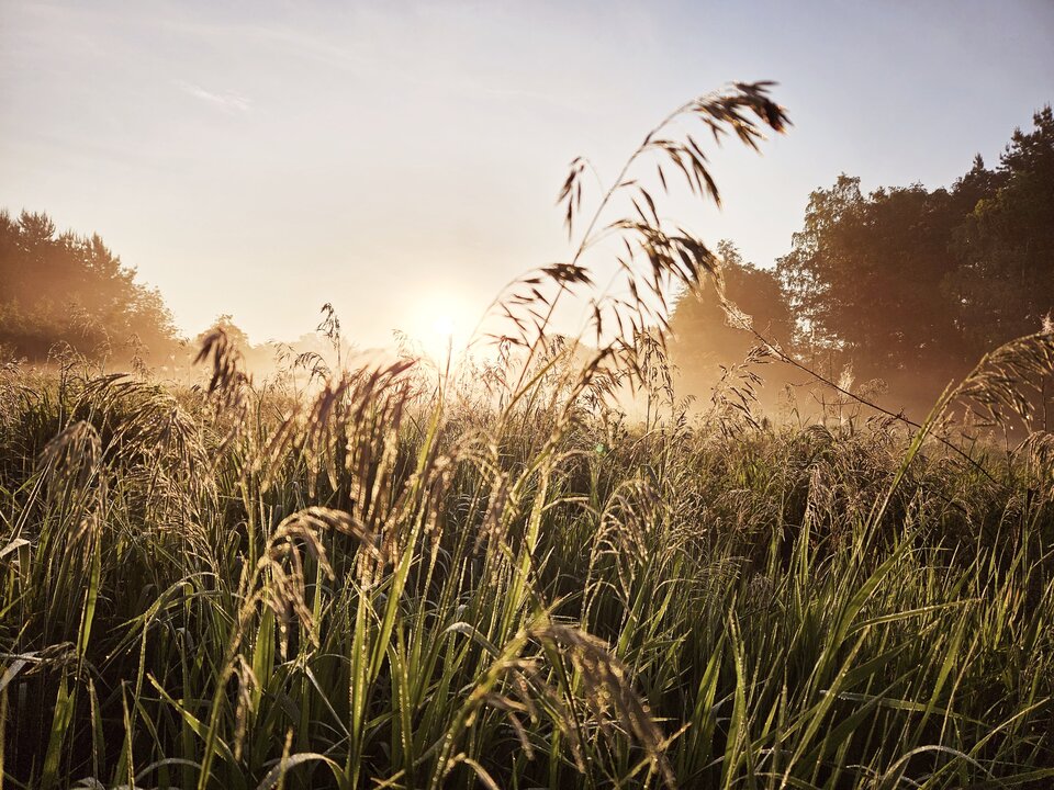 1000004619.jpg - Intergalactic89