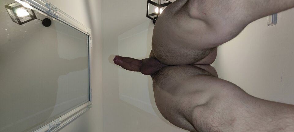 IMG_20240124_060458.jpg - Dzik_pick