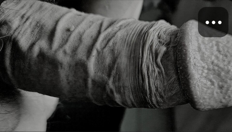 1000006226.jpg - Matky99