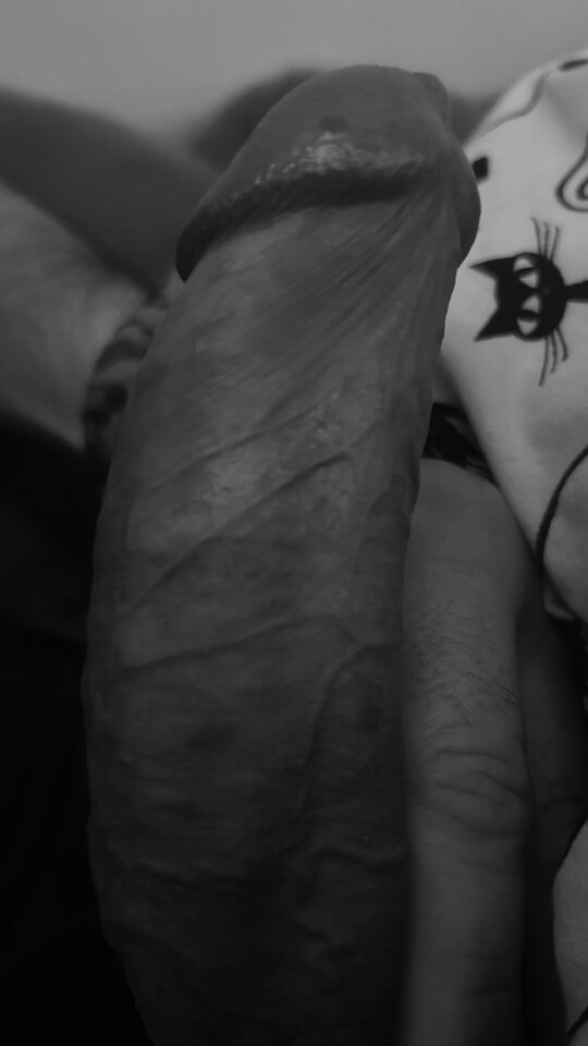 IMG_2883.jpeg - bondjames728