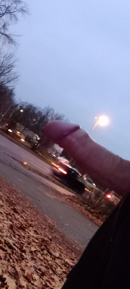 20241213_163418.jpg - Reset00