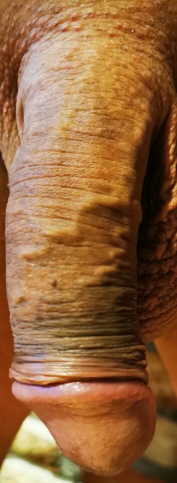 IMG_20241213_174538.jpg - Pan679