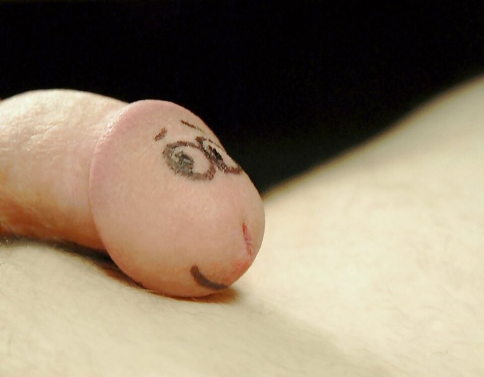 o ... patrzy .jpg - kocurekAndy