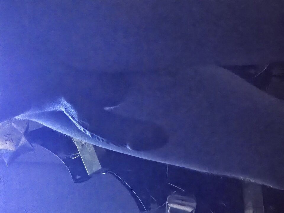 20241213_213051.jpg - Bzykuna