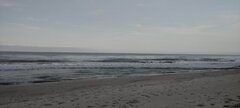 IMG_20241213_073027.jpg