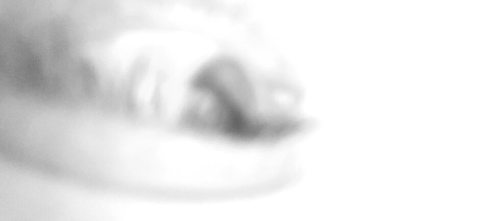 17341597488191346498741568735288.jpg - kojot1987