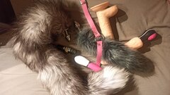 IMG_20241004_231500.jpg