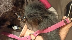 IMG_20241004_223653.jpg