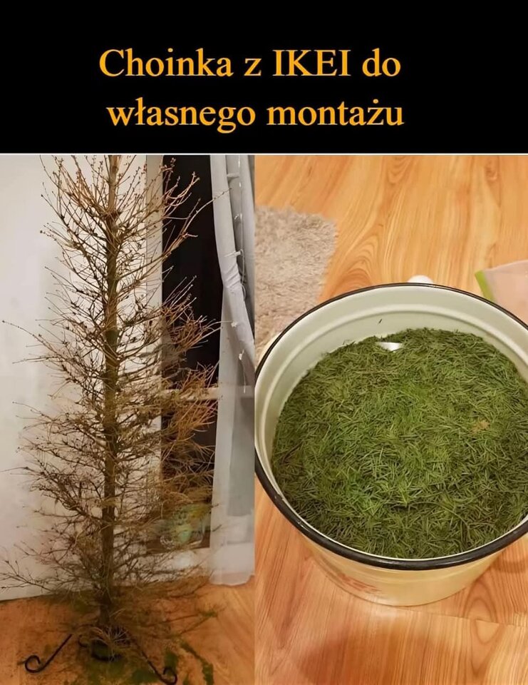 FB_IMG_1734177874975.jpg - Pawelspqr189