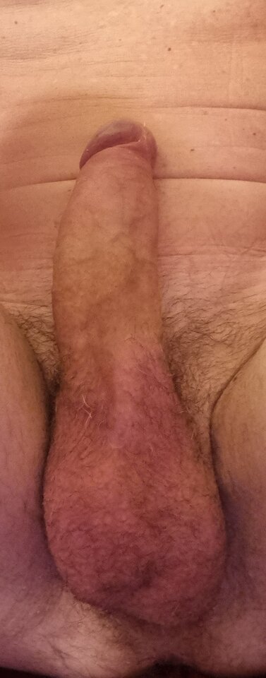 20241214_170125.jpg - Arture1234