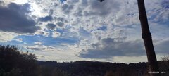 IMG_20241013_101616.jpg