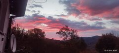 IMG_20241013_065520.jpg