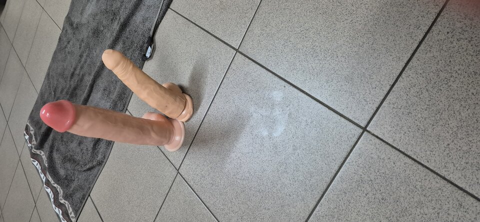 1000016874.jpg - lubitranswaw