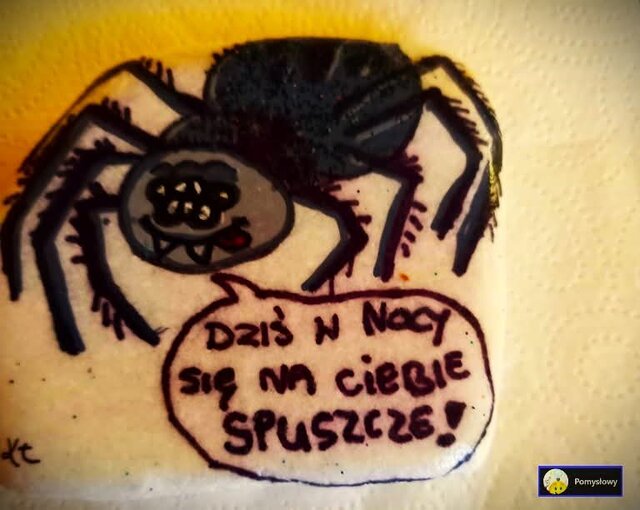 FB_IMG_1734201993651.jpg - Pawelspqr189