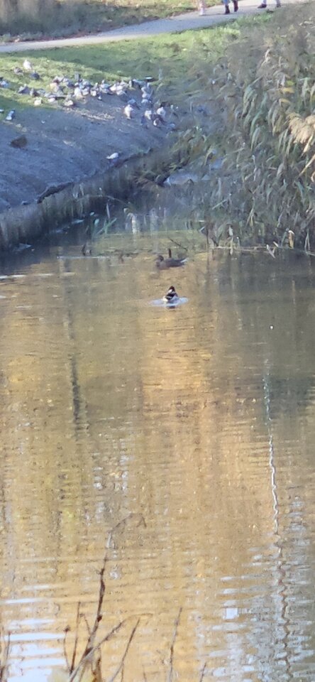 20241026_122939.jpg - reporter13