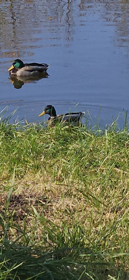 20241026_122909.jpg - reporter13