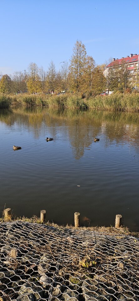 20241026_130134.jpg - reporter13