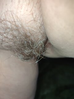 IMG_20241215_081426.jpg