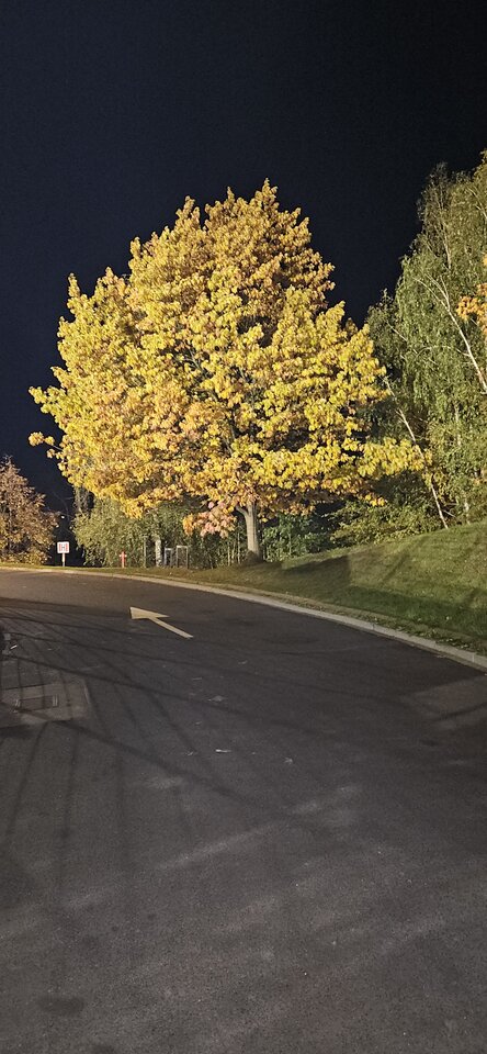 20241018_195901.jpg - reporter13