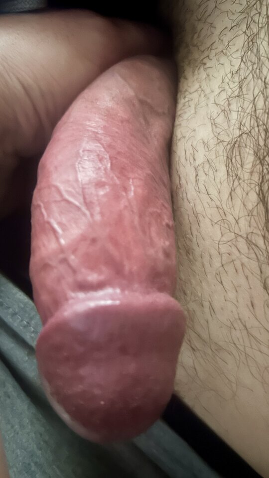 IMG_2938.jpeg - bondjames728