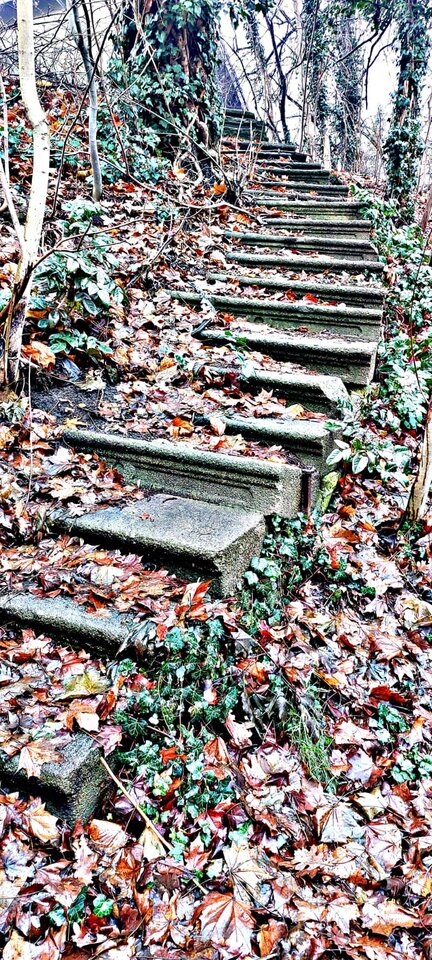 WhatsApp Image 2024-12-15 at 16.05.00.jpeg - mazi39