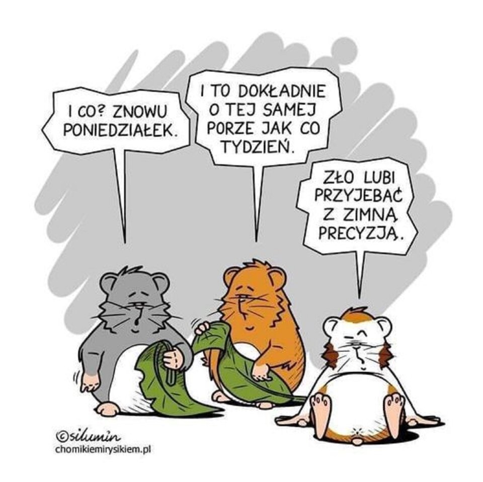 poniedziałek.jpg - Ann_holy