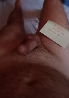 IMG_20241216_082316.jpg