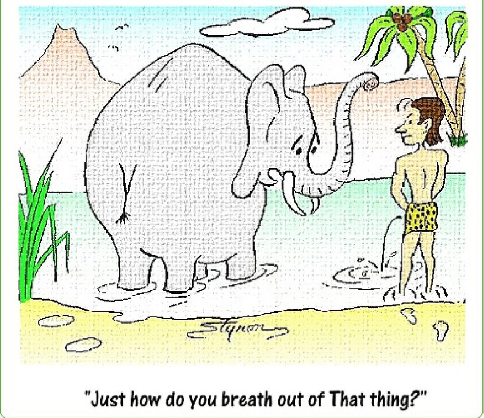 p 18 0 .jpg - kocurekAndy