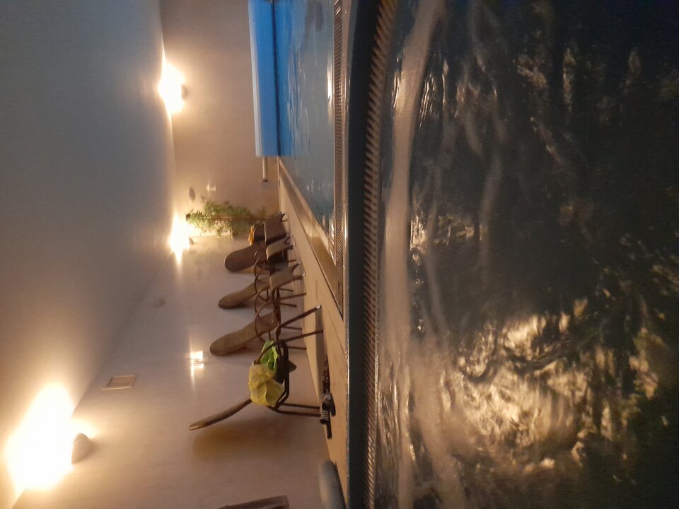 20241215_152111.jpg - Gregs777