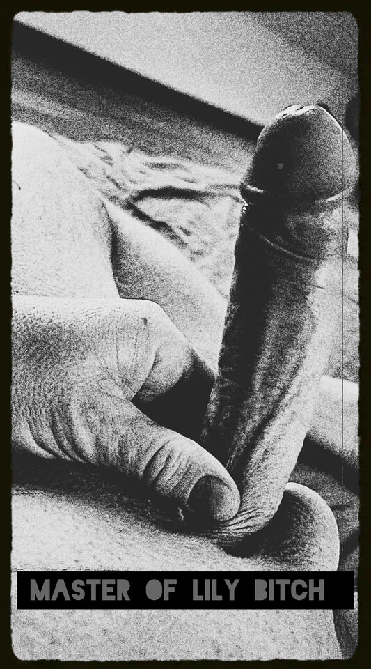 InShot_20241217_233916835.jpg - Master_and_Lilybitch