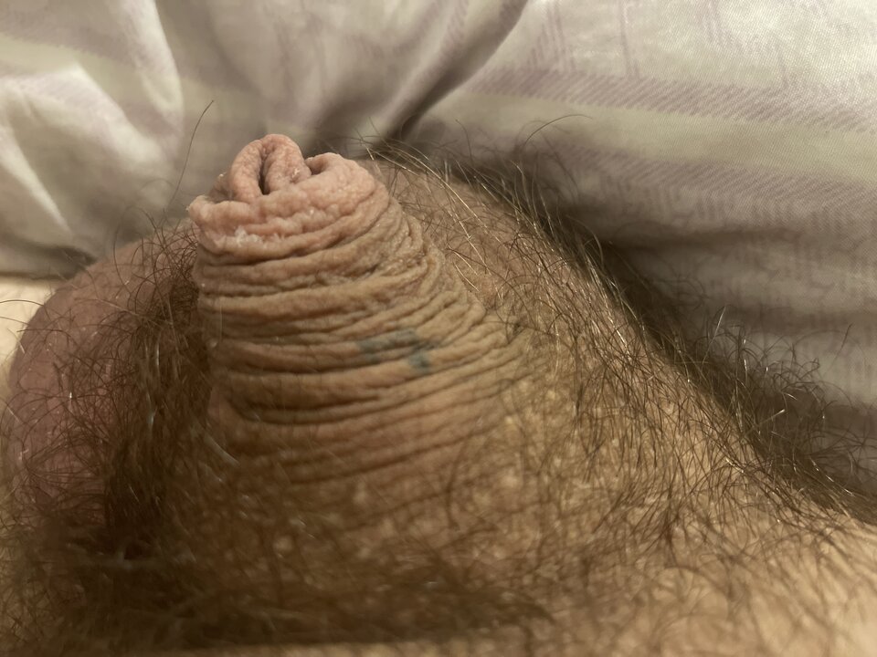 image.jpg - Malymis12cm