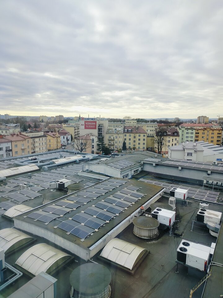 1000002641.jpg - ptak362