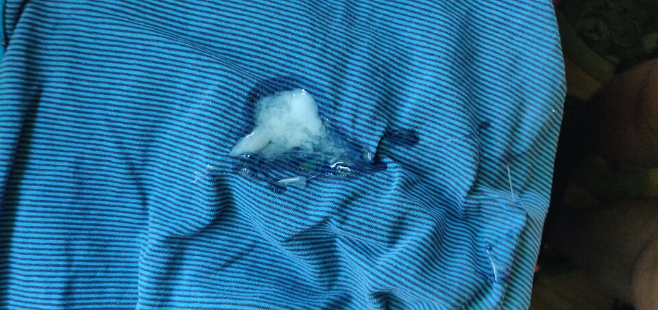 IMG_20241218_105515.jpg - fajnykutasek25