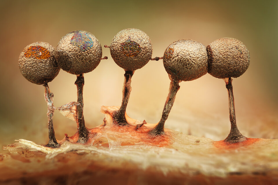 463743764_1125773712883671_7000838180228019722_n (1).jpg - dyskretnydyskretny1975