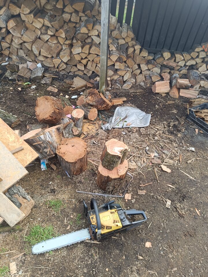 1000007166.jpg - Gregorek42