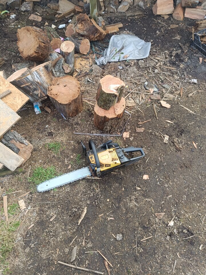 1000007167.jpg - Gregorek42