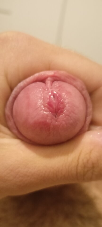 IMG20230904004912.jpg - Franzgay69