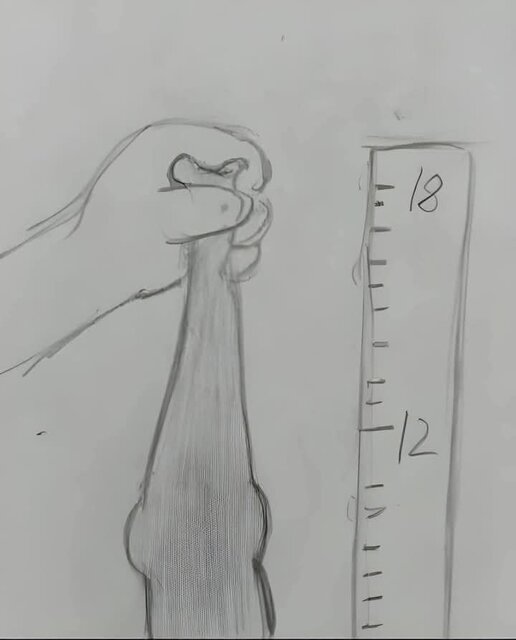 FB_IMG_1734632367133.jpg - Arnikgb